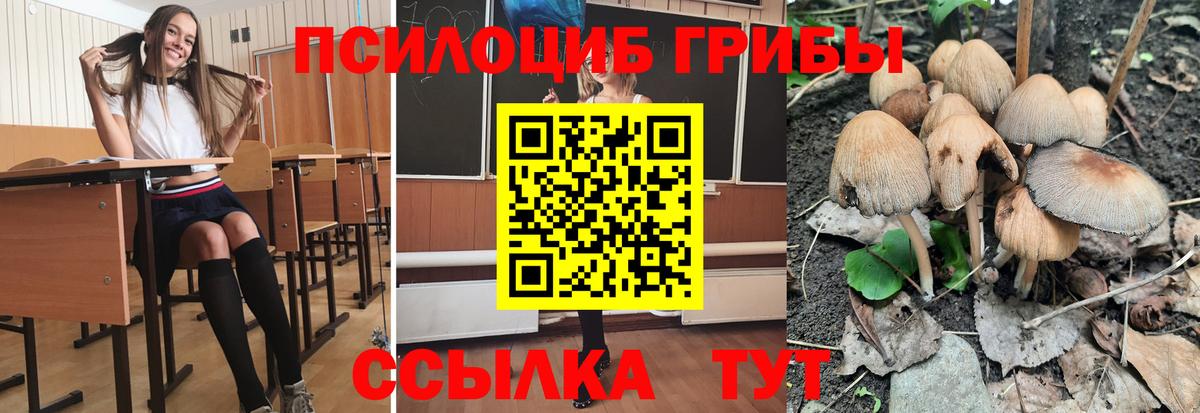 Псилоцибиновые грибы мухоморы  Псилоцибиновые грибы мухоморы  Радужный  Вход с VPN 